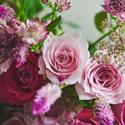 お値下げ　青山フラワーマーケット　セット　薔薇　百合 クチナシ　金木犀 10/1-10/31到着】彩り豊かな秋バラが主役 Season Flower ＊どっさり