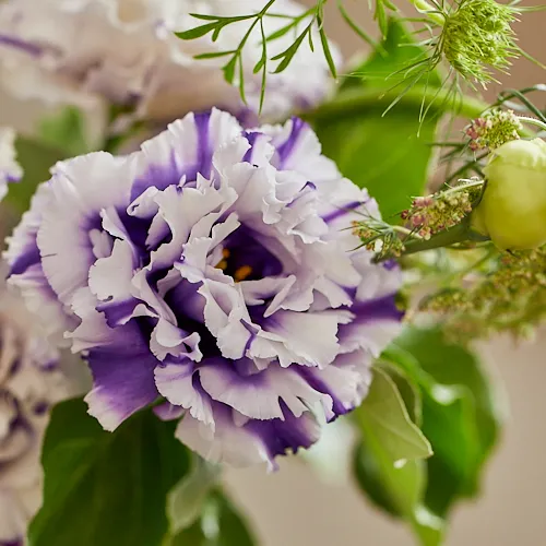 Season Flower リシアンサス「マーブルブルー」と季節の草花