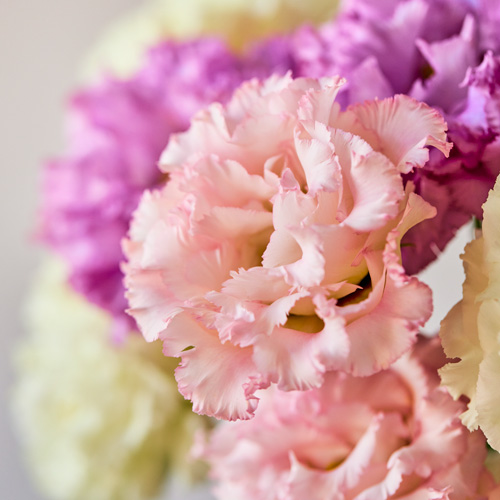 青山フラワーマーケット公式 花屋 花 花束 フラワーギフト 通販 青山フラワーマーケット公式 花屋 花 花束 フラワーギフト 通販