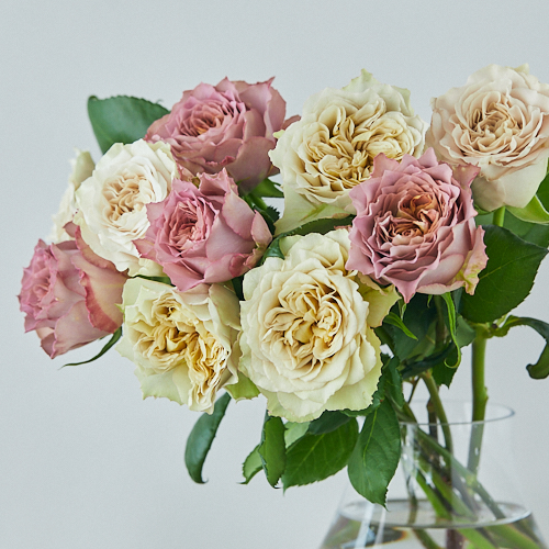 アンティーク 洗礼者聖ヨハネと羊プチポワン 薔薇朝顔菫ニードルポイント 麻布付 アンティーク 洗礼者聖ヨハネと羊プチポワン 薔薇朝顔菫ニードル