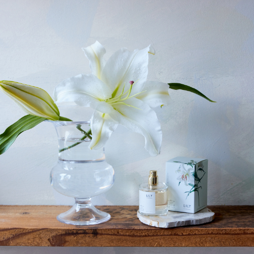 産直】新潟県津南町のカサブランカ 3本＆Original Eau de