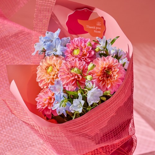 産直：遅れてごめんね母の日ギフト】日光園藝のボヌールBouquet | 青山
