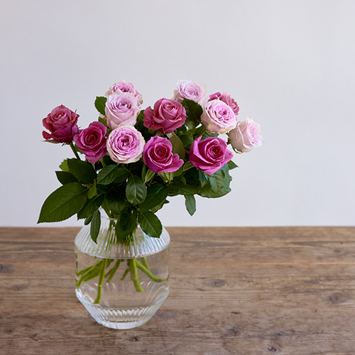 セール中♡ ローズピンク 産直】井上バラ園のローズ ピンク系12本 | 青山フラワーマーケット