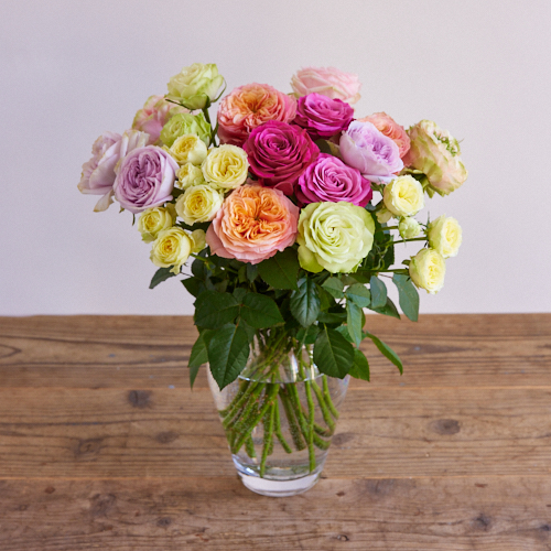 産直】神生バラ園のおまかせ6種類×3本（18本アソート） | 青山