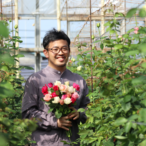 産直】岸バラ園のフレグランスローズアソートおまかせ15本 | 青山