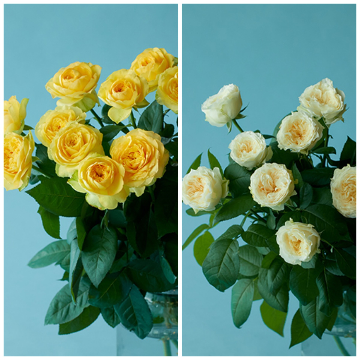 青山フラワーマーケット｜花束・ギフトのオンラインショップ