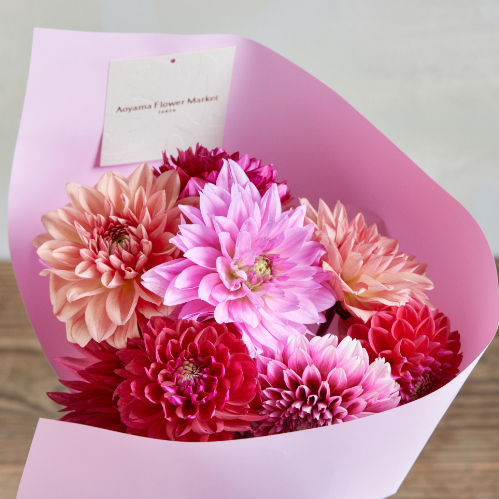 ダリア百科　園芸本　花づくり　花作り　日本ダリア会 ダリア百科 園芸本 花づくり 花作り 日本ダリア会 ダリア百科