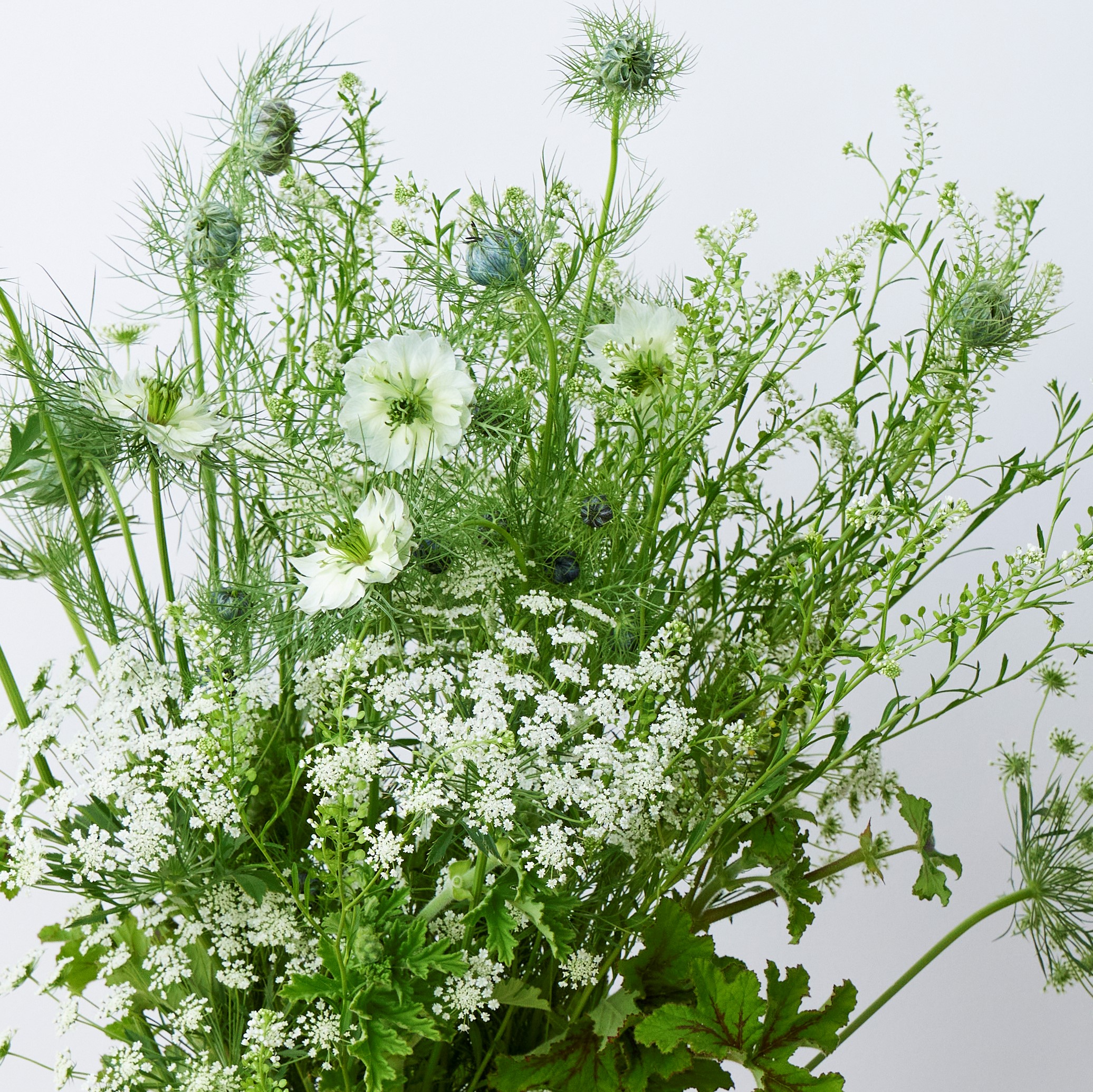 産直 折原園芸のハーブや草花 30本アソート 青山フラワーマーケット公式 花屋 花 花束 フラワーギフト 通販 産直 折原園芸のハーブや草花 30本アソート 青山フラワーマーケット公式 花屋 花 花束 フラワーギフト 通販