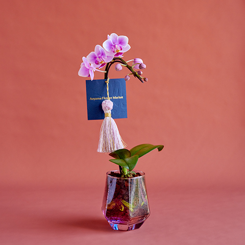 小さき花様 学校法人聖テレジア学園 小さき花幼稚園｜通常保育｜預かり保育