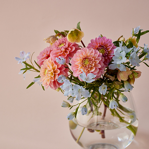 産直】日光園芸のさくらブルーBouquet | 青山フラワーマーケット｜花束