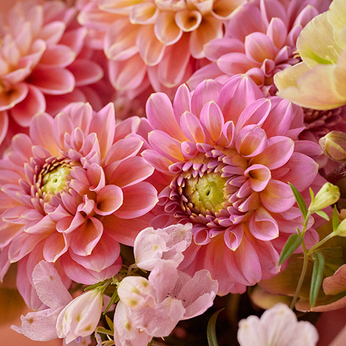 産直】日光園芸のさくらピンクBouquet | 青山フラワーマーケット｜花束