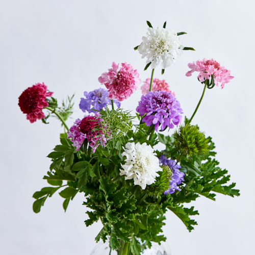 Kanai の検索結果 青山フラワーマーケット公式 花屋 花 花束 フラワーギフト 通販