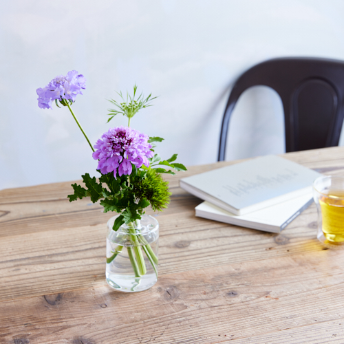 産直 金井園芸のスカビオサ10本と季節のグリーンアソート 青山フラワーマーケット公式 花屋 花 花束 フラワーギフト 通販