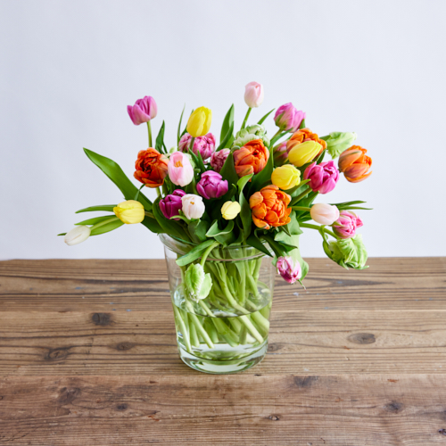 産直】センティアのチューリップ 30本おまかせアソート | 青山フラワー