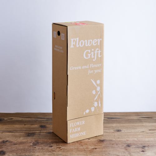 産直】フラワーファームしろねのチューリップ（20本） | 青山フラワー