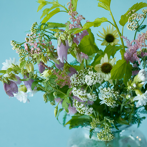 産直】フラワーガーデンたむらの草花ミックス 20本 | 青山フラワー