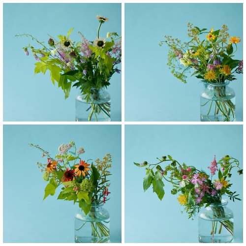 産直】フラワーガーデンたむらの草花ミックス 20本 | 青山フラワー