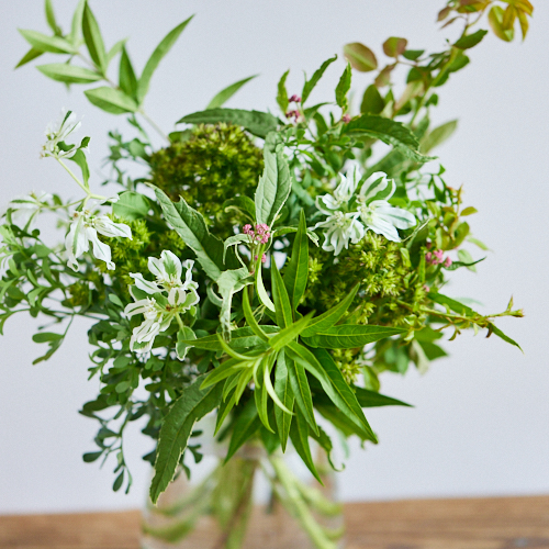 産直】フラワーガーデンたむらの草花ミックス 20本 | 青山フラワー