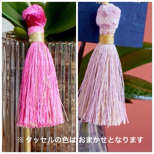 産直】椎名洋ラン園のマイクロ胡蝶蘭 ピンク系2本立ち | 青山