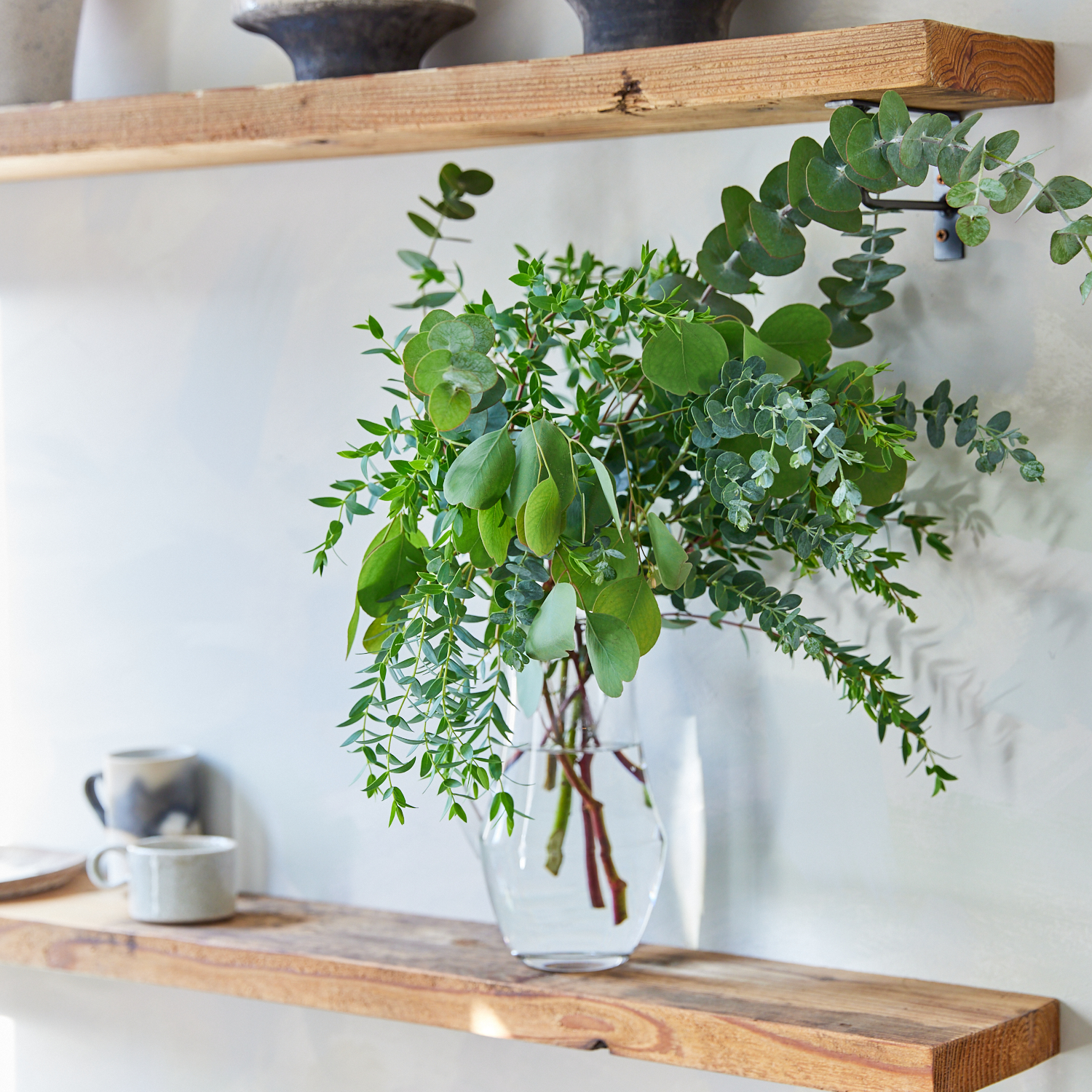 産直 萩島園芸のユーカリ3種ミックス10本 青山フラワーマーケット公式 花屋 花 花束 フラワーギフト 通販