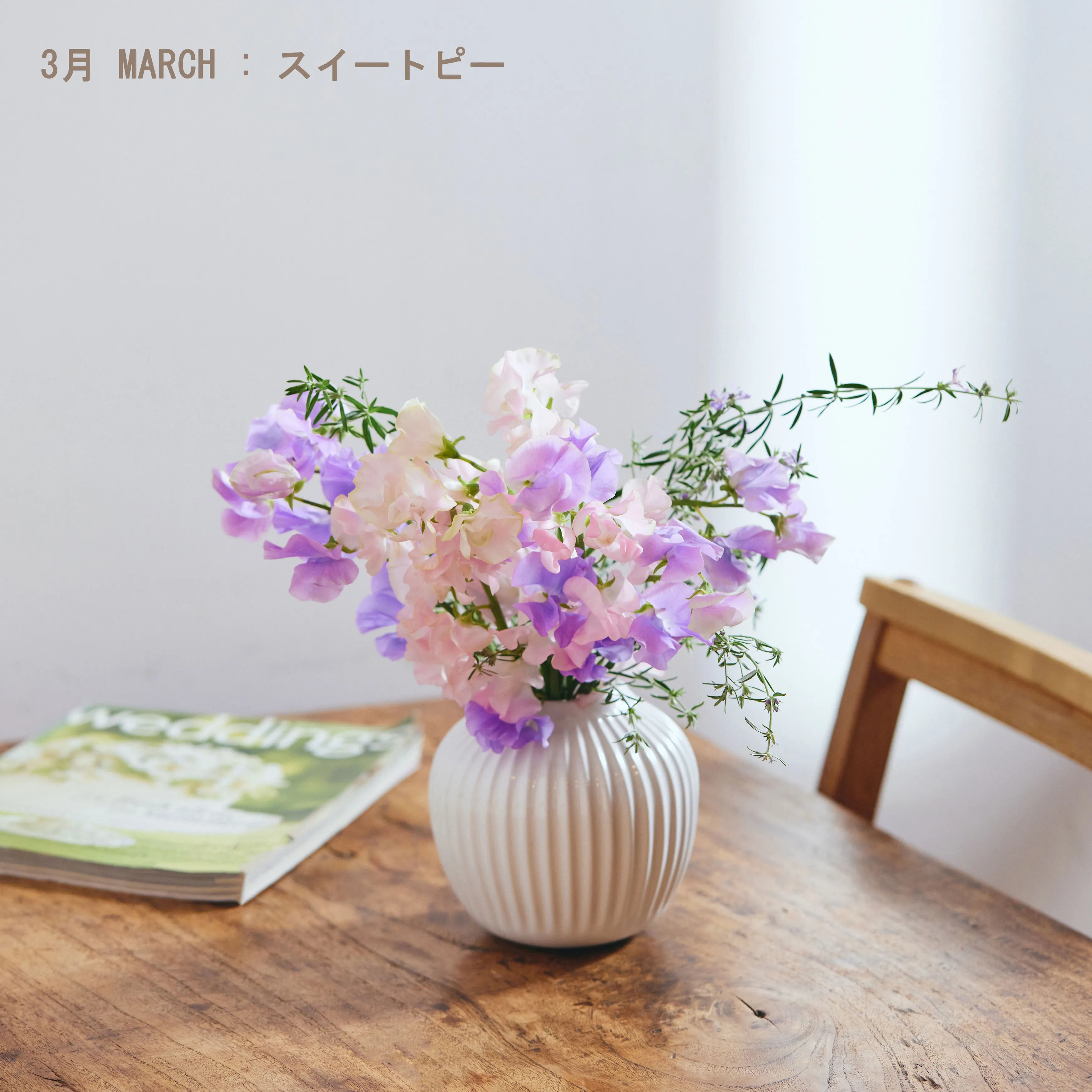 季節の花を主役に旬を感じたい 旬の花定期便 シーズンフラワー 月1