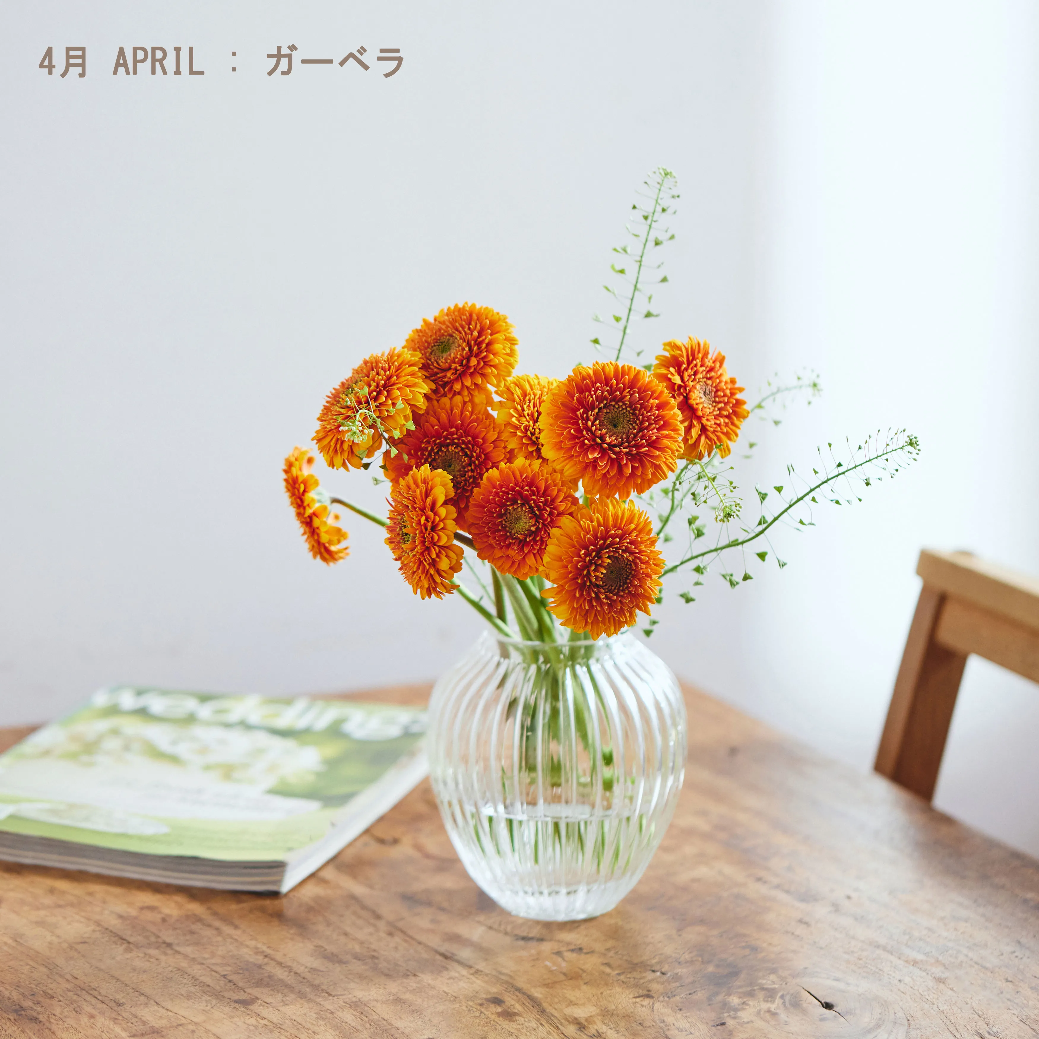 季節の花を主役に旬を感じたい 旬の花定期便 シーズンフラワー 月1