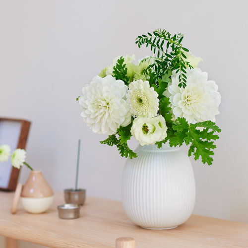 フラワーさま専用 お取り置き10日 W.月2回お届けコース ［2024年4月 – 1回目］ | 日本総合園芸の花の