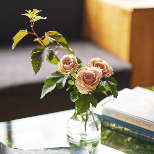 ONE FLOWER WITH GREEN 旬の花定期便 SSコース | 青山フラワー