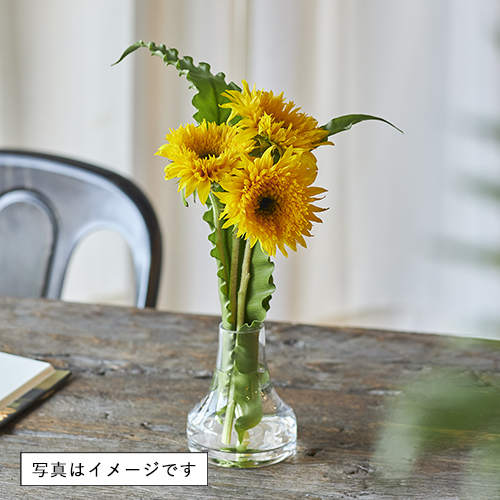 ONE FLOWER WITH GREEN 旬の花定期便 SSコース | 青山フラワー