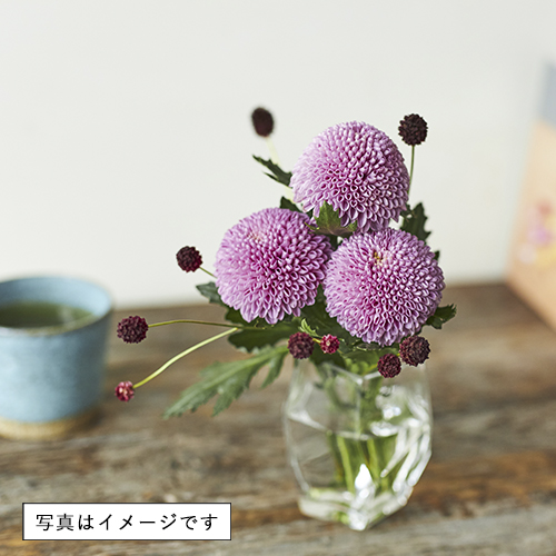 ONE FLOWER WITH GREEN 旬の花定期便 SSコース | 青山フラワー