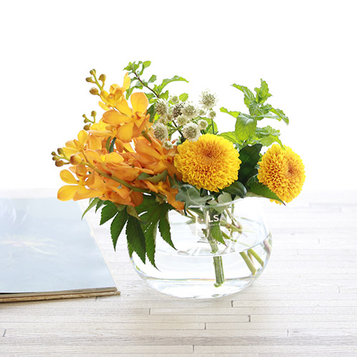 グリコ おまけ〈お花 花瓶セット〉 花瓶・水盤バラエティーコース | 日本総合園芸の花のサブスク | 花の