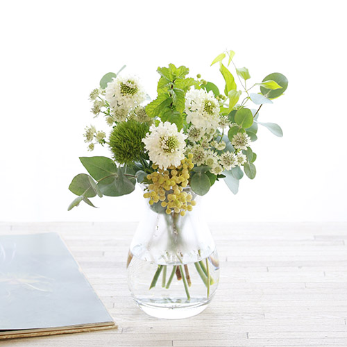 手軽に飾るのにちょうどよいボリューム 旬の花定期便 Sコース | 青山