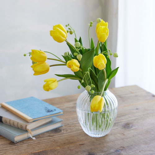 Wqwtokwfe17lzm Wqwtokwfe17lzm