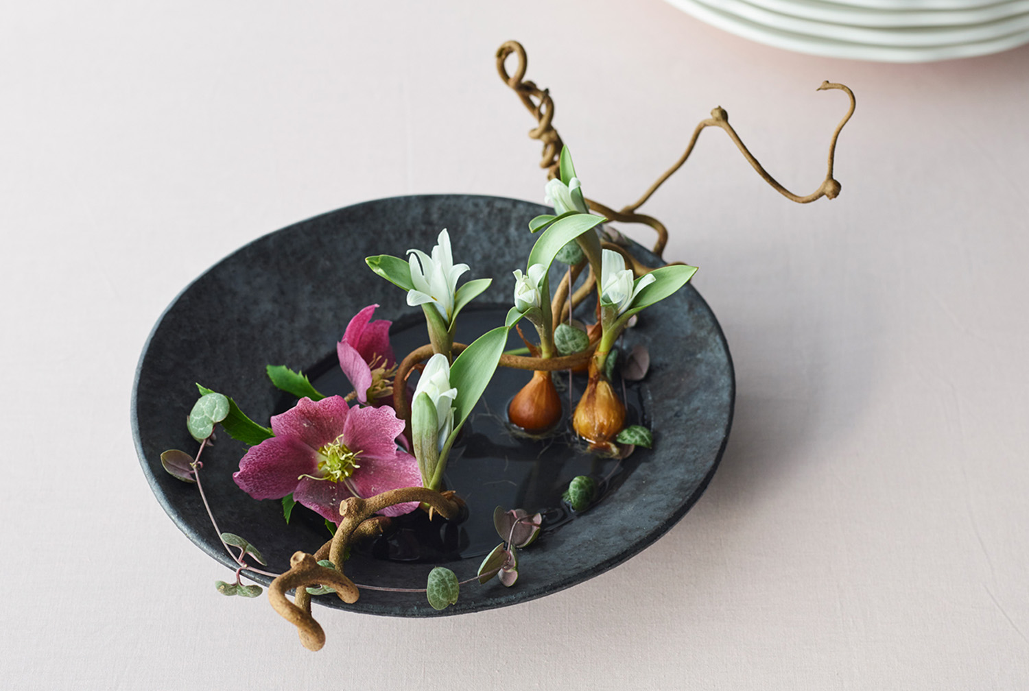 コラム Today S Flower チューリップ 花 フラワーギフトなら青山フラワーマーケット 青山フラワーマーケット公式 花屋 花 花束 フラワーギフト 通販 コラム Today S Flower チューリップ 花 フラワーギフトなら青山フラワーマーケット 青山フラワーマーケット公式 花屋 花 花束 フラワーギフト 通販