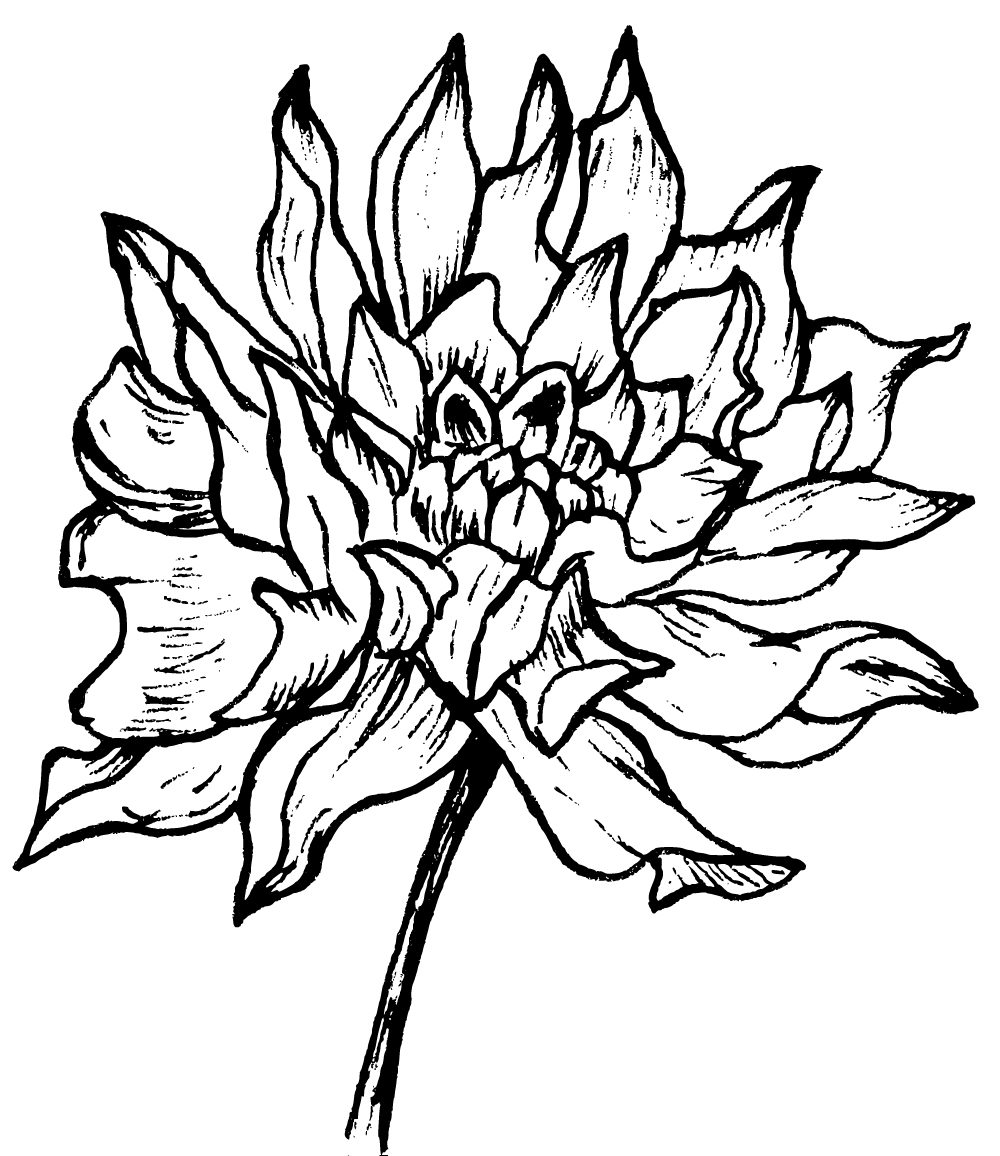 Tips Of Flower Mum マム 青山フラワーマーケット 青山フラワーマーケット公式 花屋 花 花束 フラワーギフト 通販