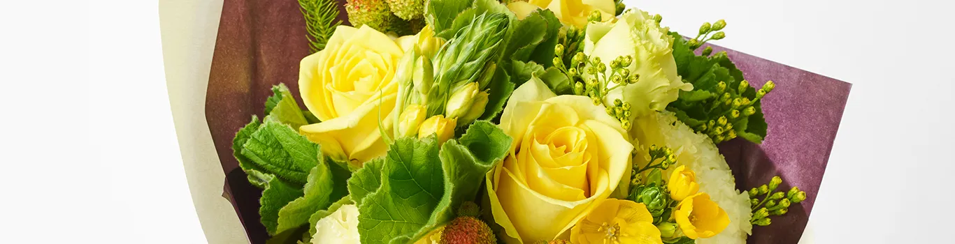 お見舞いに最適な花 | 青山フラワーマーケット | 青山フラワー