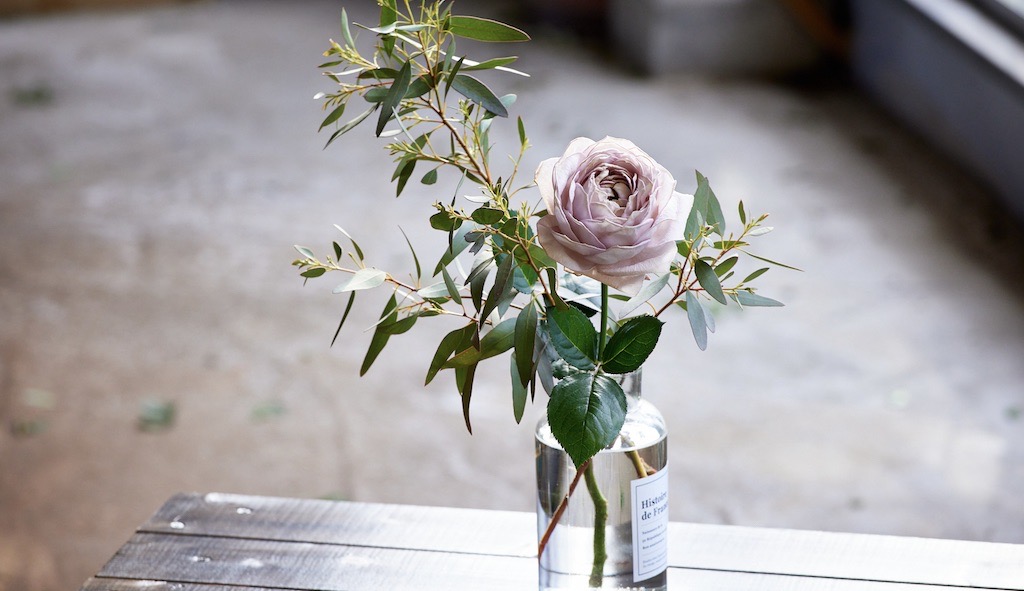 やぎバラ育種農園／静岡県 | 青山フラワーマーケット｜花束・ギフトの