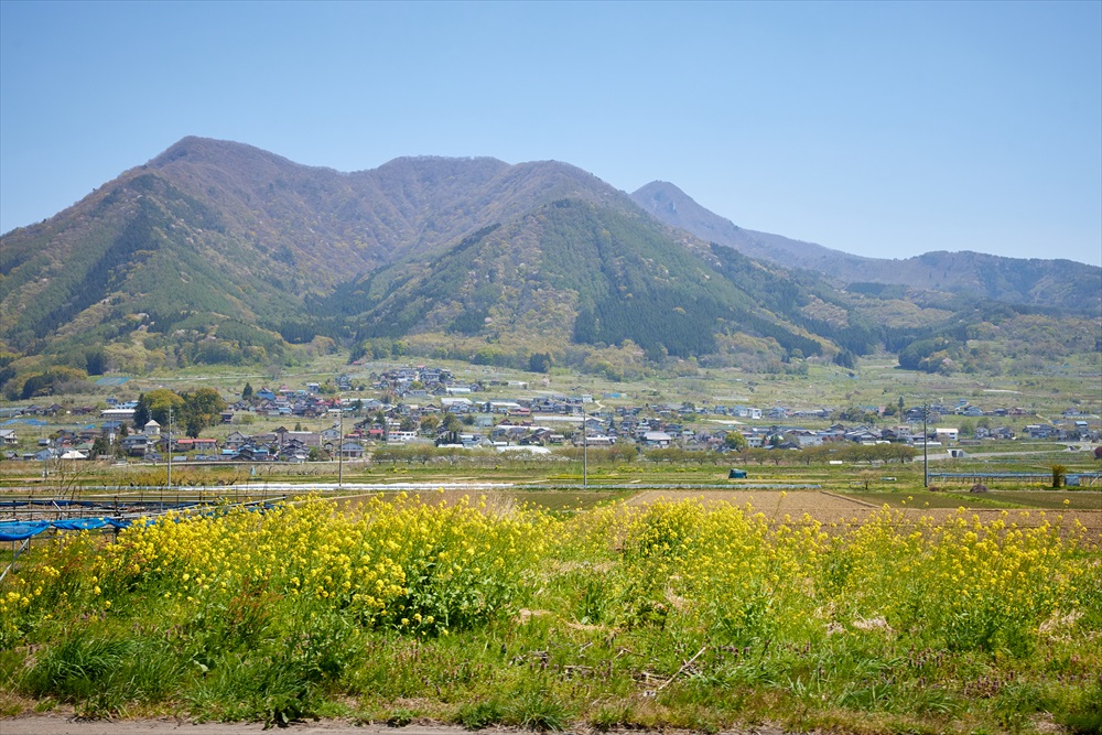 JAながのみゆき／長野県生産者レポート｜花・フラワーギフトなら青山