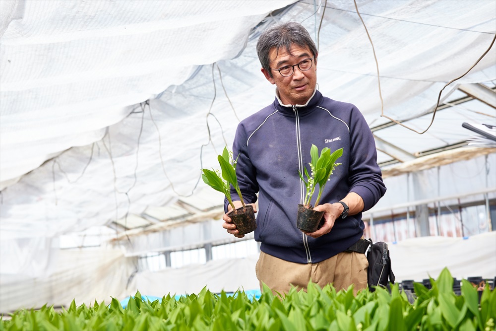 信州産　お花 JAながのみゆき／長野県生産者レポート｜花・フラワーギフトなら青山