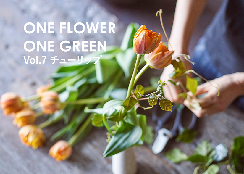 花 フラワーギフトなら青山フラワーマーケット コラム One Flower One Green チューリップ 青山フラワーマーケット公式 花屋 花 花束 フラワーギフト 通販