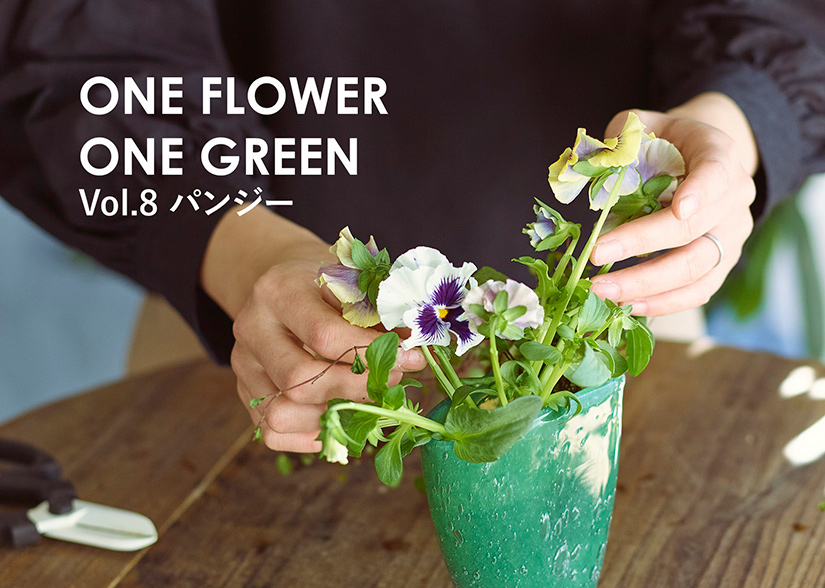 コラム One Flower One Green パンジー 青山フラワーマーケット公式 花屋 花 花束 フラワーギフト 通販