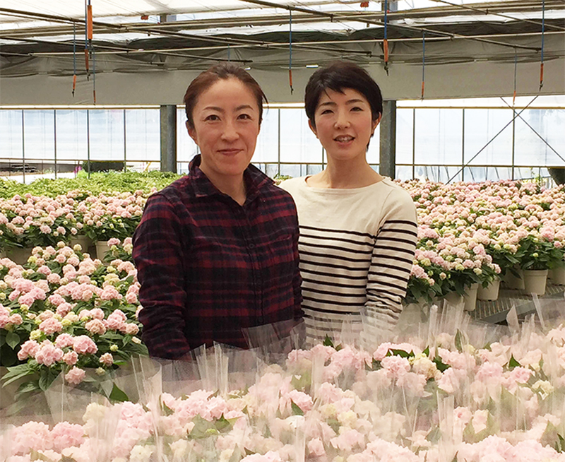 花 フラワーギフトなら青山フラワーマーケット コラム 母の日に贈りたい 育てて楽しむ 花鉢 青山フラワーマーケット公式 花屋 花 花束 フラワーギフト 通販