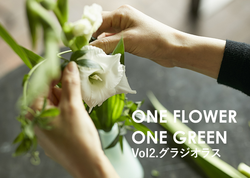 花 フラワーギフトなら青山フラワーマーケット コラム One Flower One Green グラジオラス 青山フラワーマーケット公式 花屋 花 花束 フラワーギフト 通販