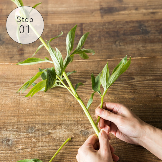 花 フラワーギフトなら青山フラワーマーケット コラム 17特集 ピオニー 青山フラワーマーケット公式 花屋 花 花束 フラワーギフト 通販