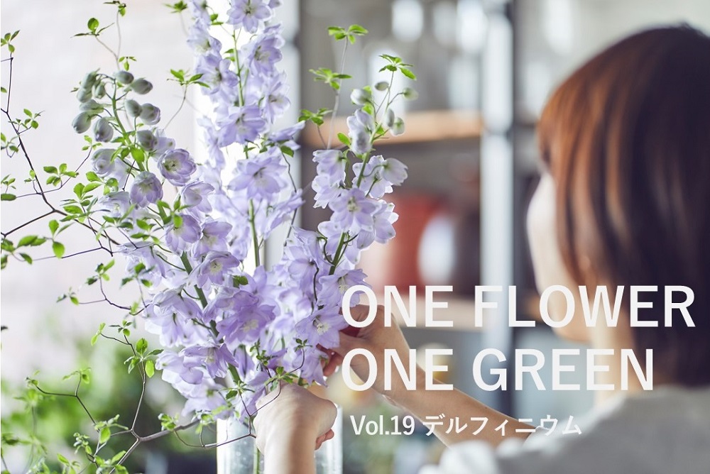 コラム One Flower One Green デルフィニウム ドウダンツツジ 花 フラワーギフトなら青山フラワーマーケット 青山フラワーマーケット公式 花屋 花 花束 フラワーギフト 通販