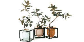 Domani/MINSK(ミンスク)16 Brick 3号鉢用 | 青山フラワーマーケット