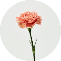 フラワーベース・花瓶 | 青山フラワーマーケット | 青山フラワー