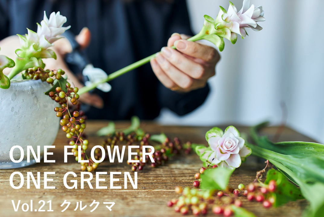 コラム One Flower One Green クルクマ イタリアンベリー 花 フラワーギフトなら青山フラワーマーケット 青山フラワーマーケット公式 花屋 花 花束 フラワーギフト 通販