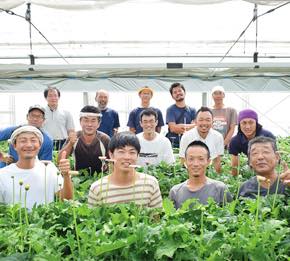 花 フラワーギフトなら青山フラワーマーケット 生産者レポート 生産者レポート ガーベラの日 青山フラワーマーケット公式 花屋 花 花束 フラワーギフト 通販