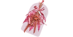 Domani/MINSK(ミンスク)ベース24 Light Coral 3号鉢用 | 青山フラワー